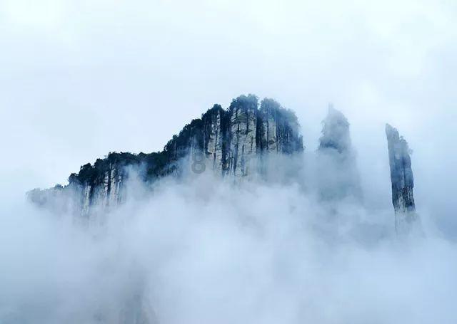 蓝色怪物救援